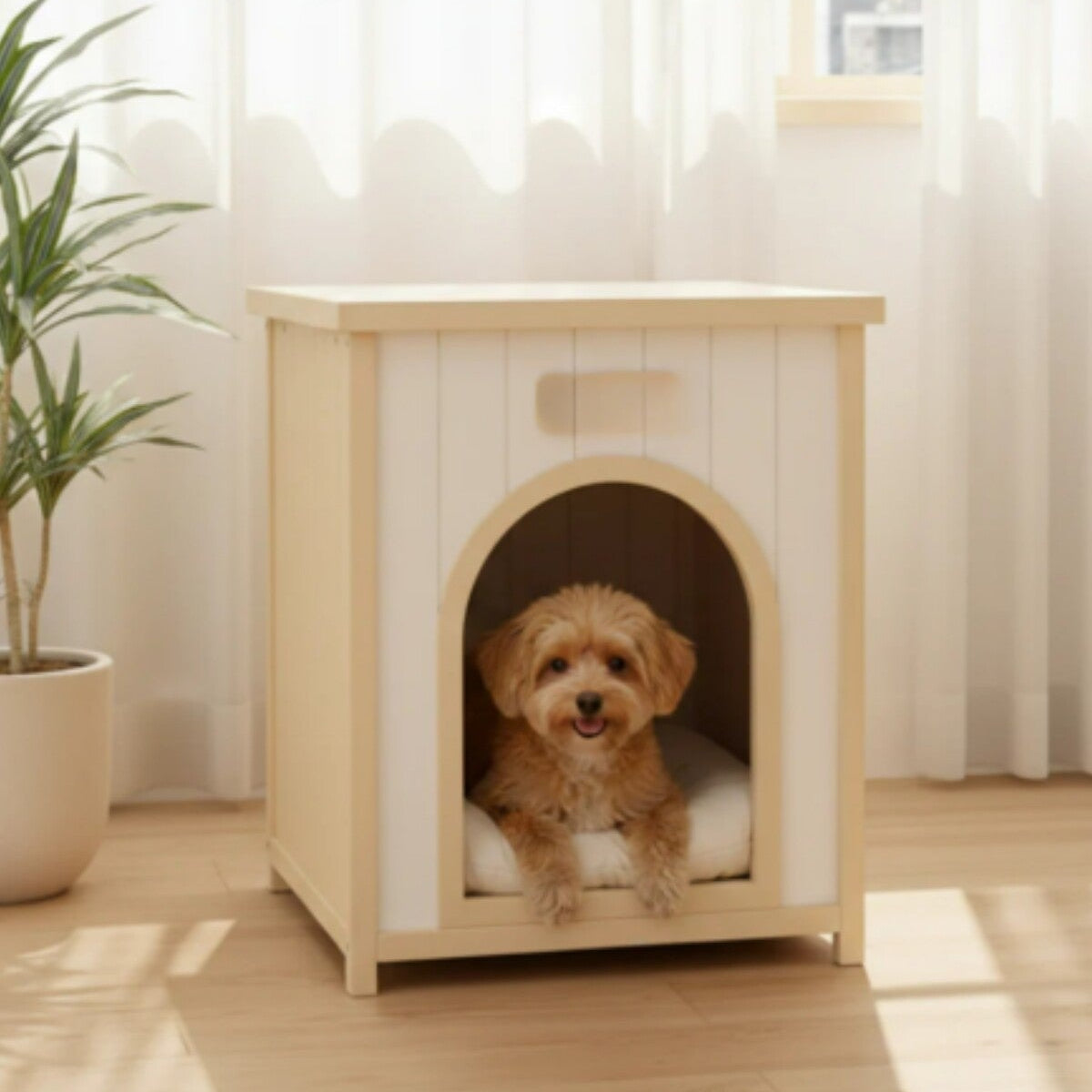 Hernest KÖPEK EVİ